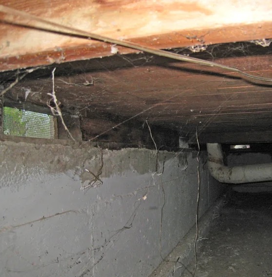 Crawl Space Water Damage Repair in Ives Estates, FL