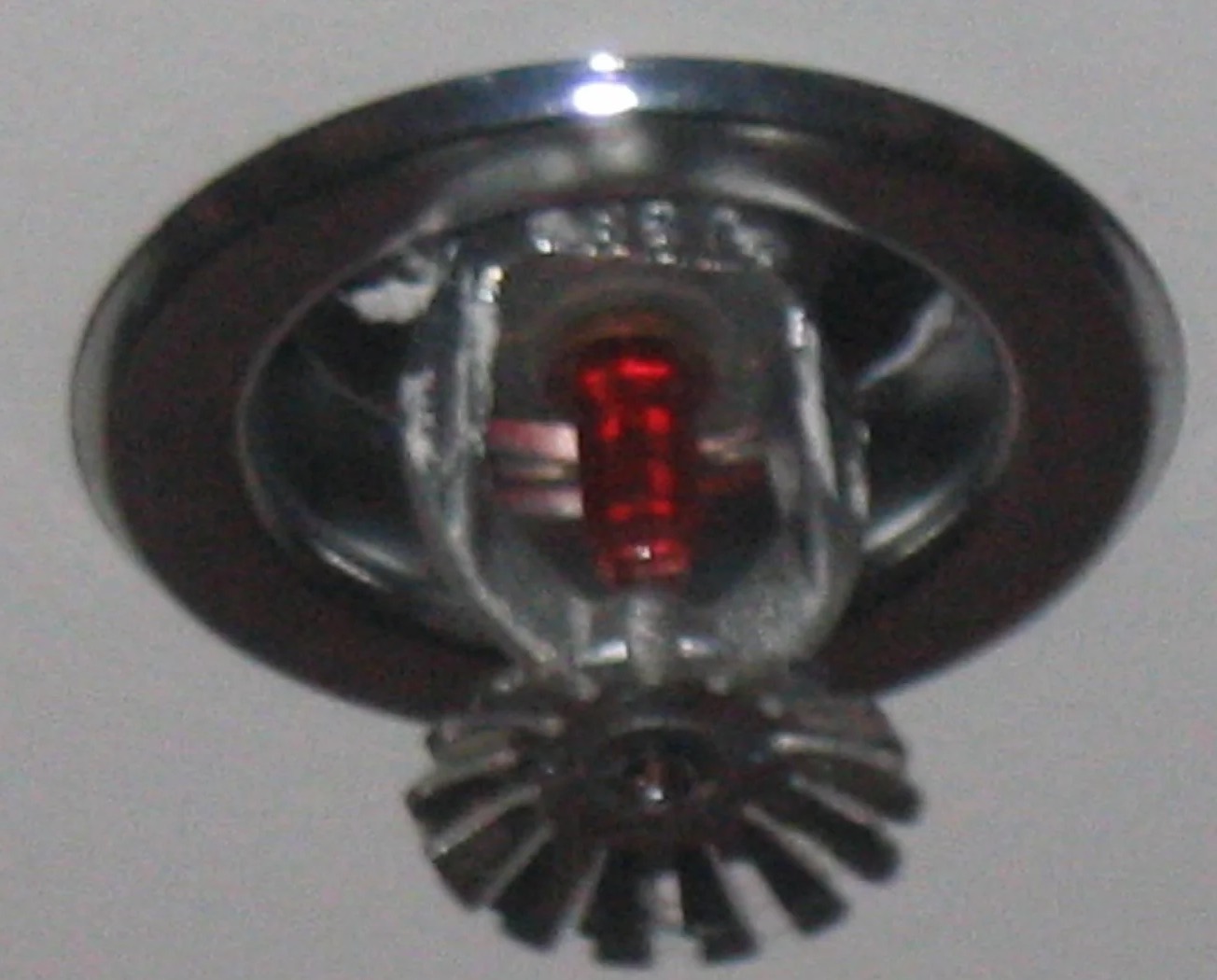 Sprinkler System Water Removal in Andover, FL