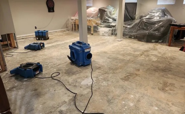 Moisture Detection Services in Belle Glade, FL